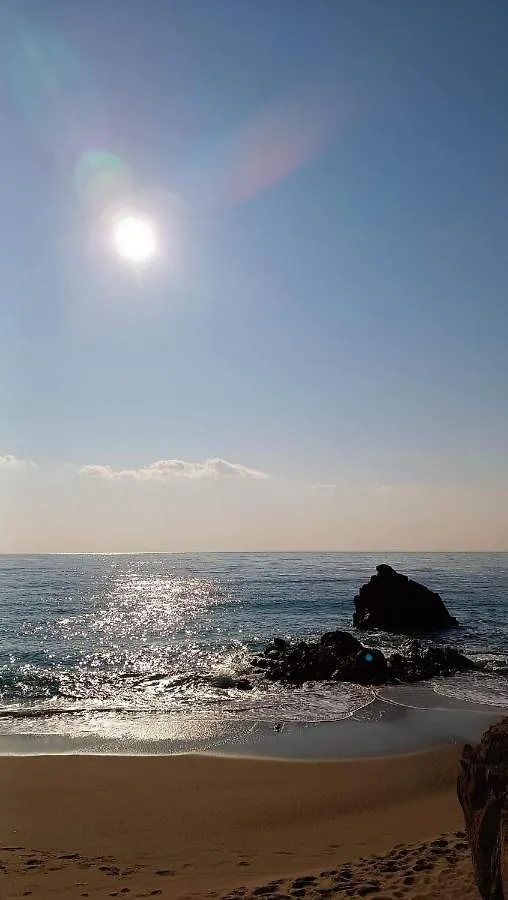 Cannes & More