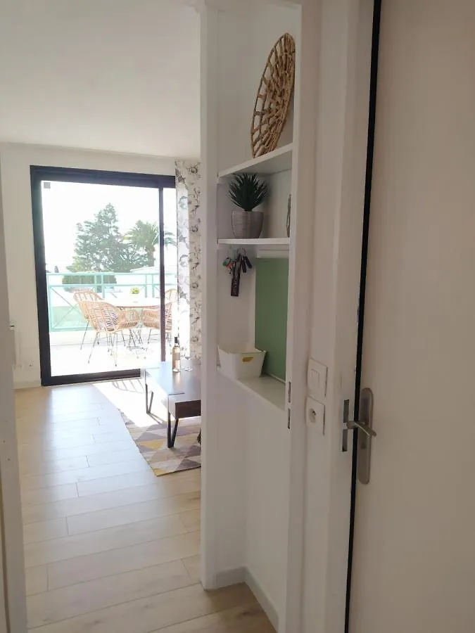 Apartment Cannes & More