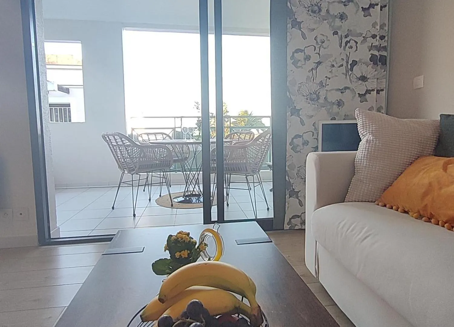 Apartment Cannes & More