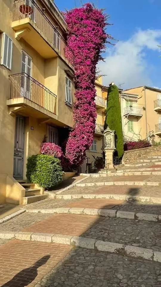 Cannes & More 0*,