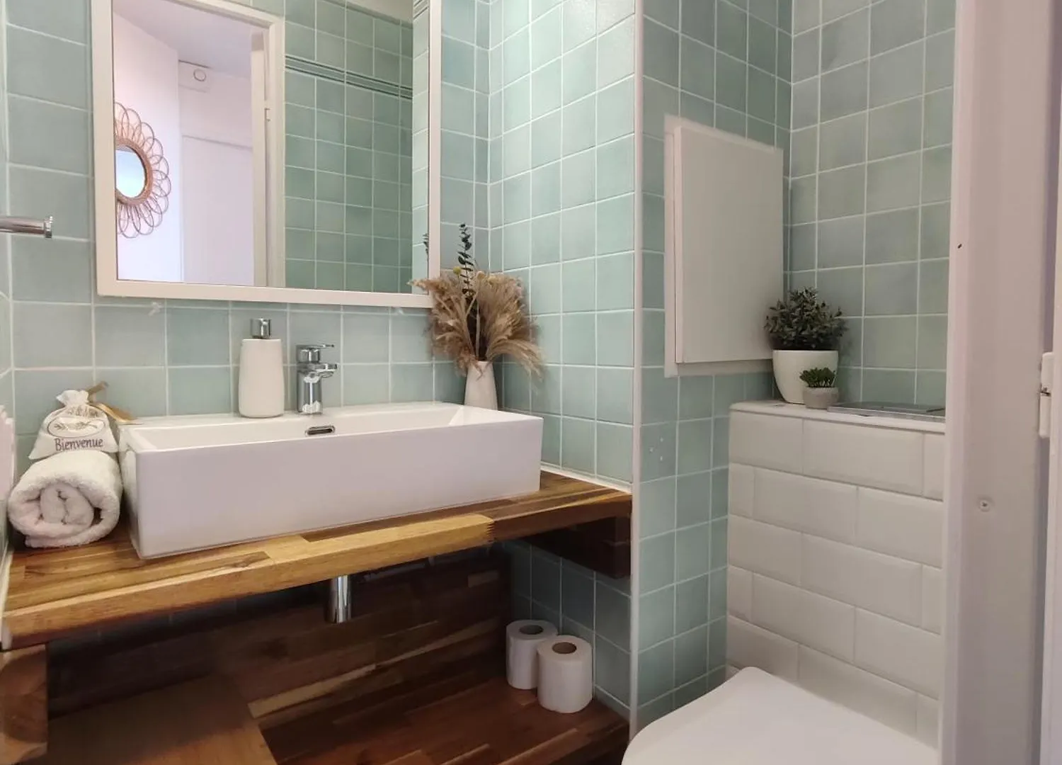Apartment Cannes & More France